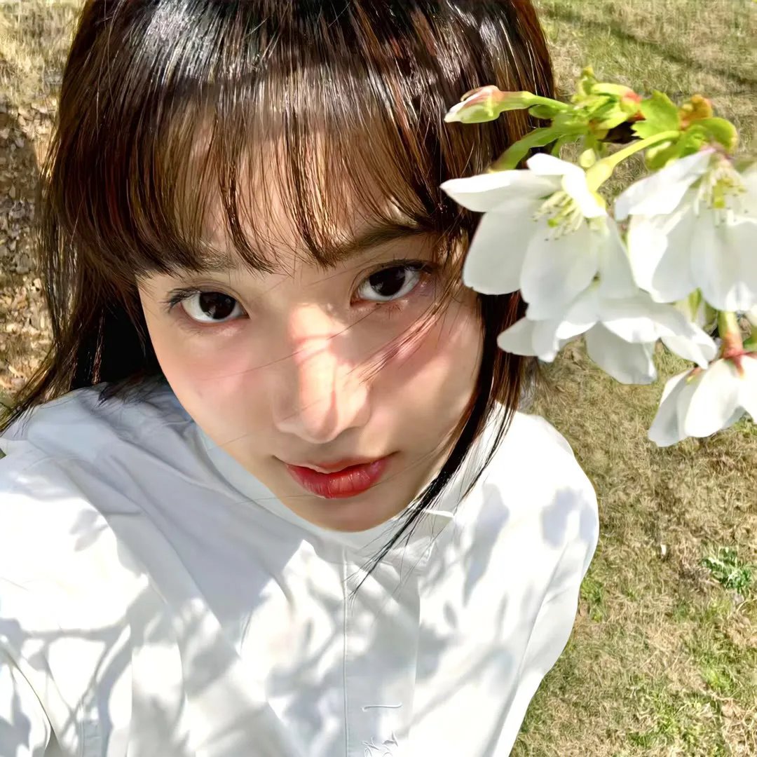 派特森与芬达猫